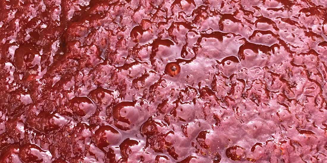 MYGroup – food waste recycling, tomato ketchup