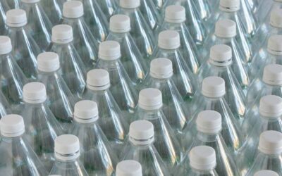 Beyond Plastic Free July: Building a Circular Economy Through Better Recycling